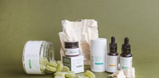 Who Owns Mit45? Discover Leadership & Employee Shares Who Owns Mit45?